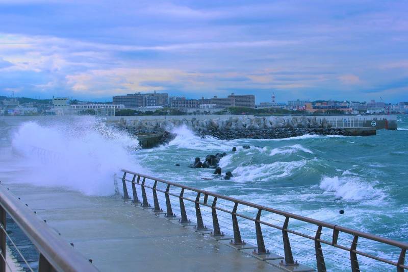 玉名市の企業向け台風接近時のデータ避難テクニック